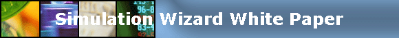 Simulation Wizard White Paper