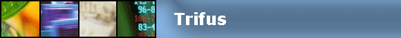 Trifus